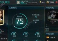 FIFA14新手指南（掌握关键技巧）